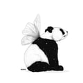 sugarfreesammy @sugarfreesammy profile image