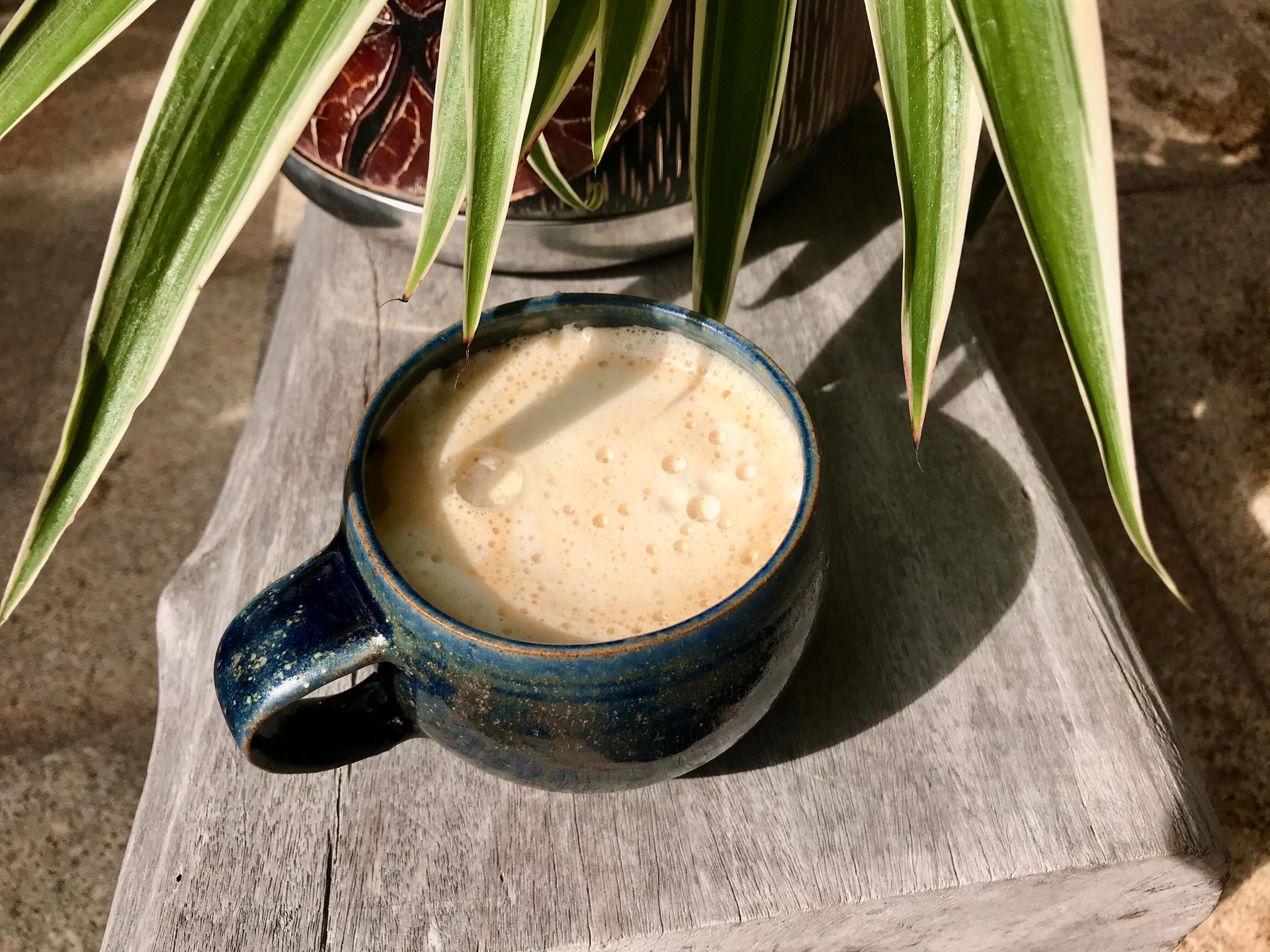 Vegan Oat Milk Latte