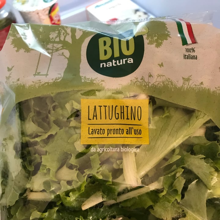 review photo of Bio Natura lattughino shared by @bimbu on 01 Apr 2022 - review