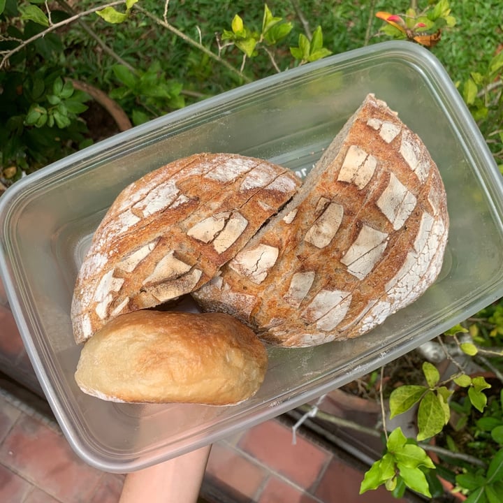 photo of Simply Bread Sourdough Granary shared by @l0serach on  11 Jun 2020 - review