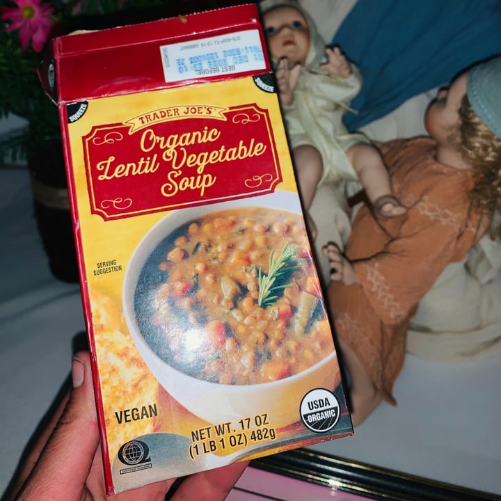 photo of Trader Joe's Organic Lentil Vegetable Soup shared by @iamgodschild on  24 Mar 2021 - review