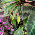 carolbergel @carolbergel profile image