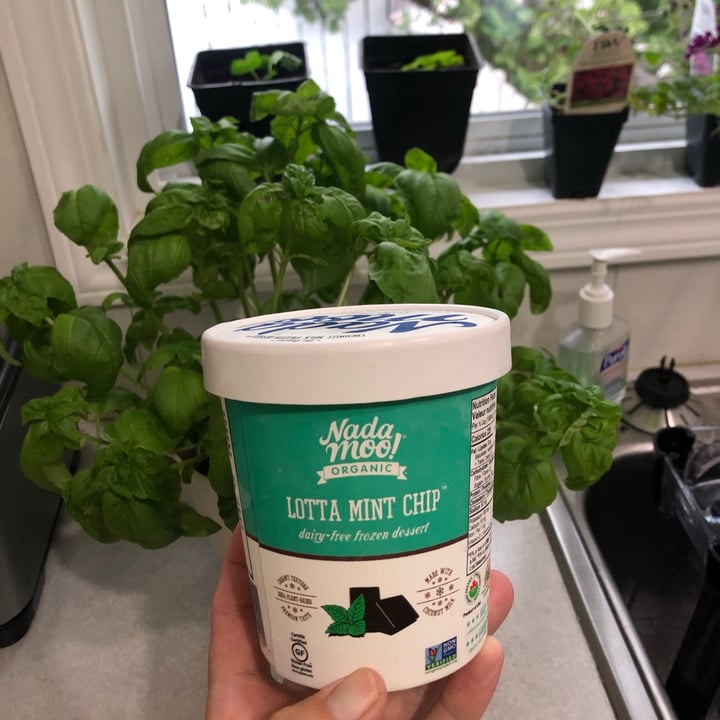 review photo of NadaMoo! Lotta Mint Chip Dairy Free Frozen Desert shared by @lisajustinep on 18 May 2021 - review
