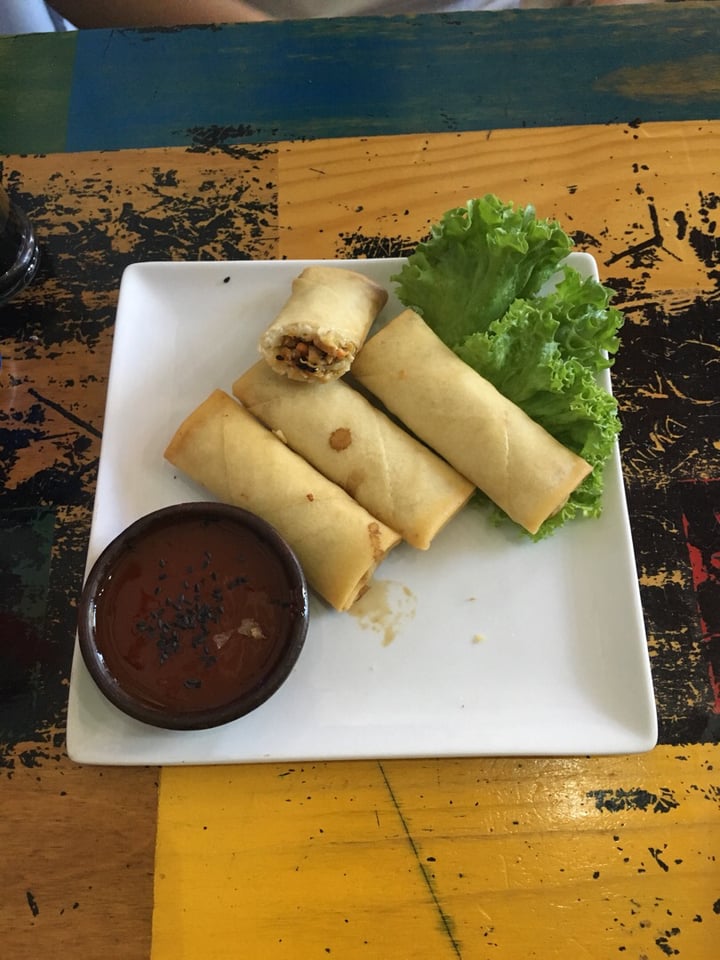 review photo of Vegan Dealer arrollados primavera shared by @javieras on 21 Dec 2019 - review