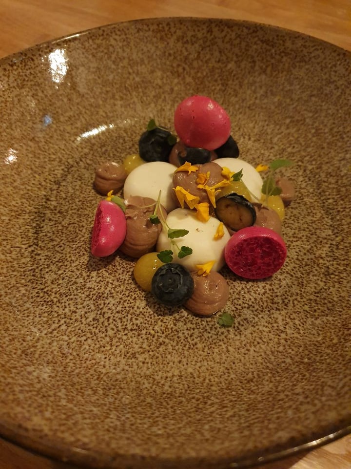 review photo of Bij Albrecht Fine Dining Experience shared by @plantfuljourney on 09 Feb 2020 - review