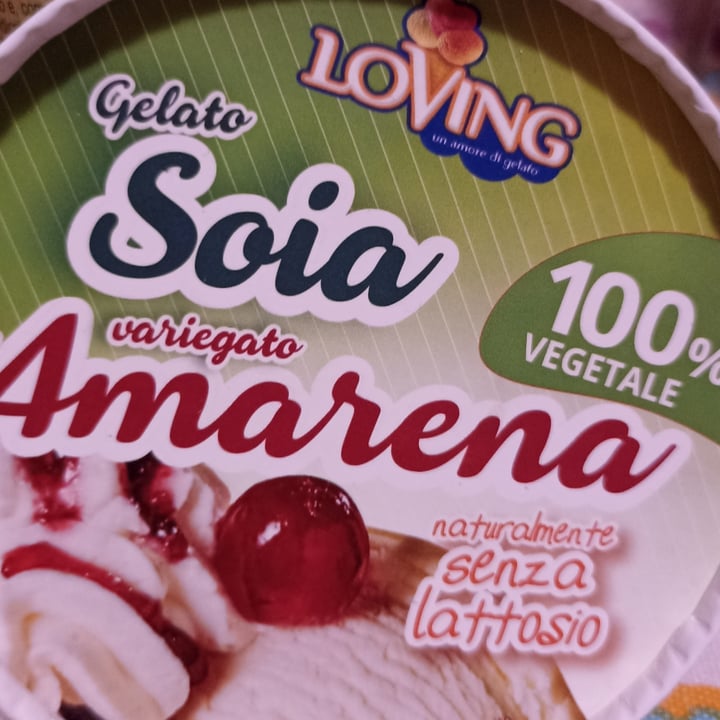 photo of Loving Gelato Soia Variegato all'Amarena shared by @mollialice on  10 Aug 2022 - review