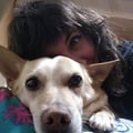lasonrisadeltrece @lasonrisadeltrece profile image