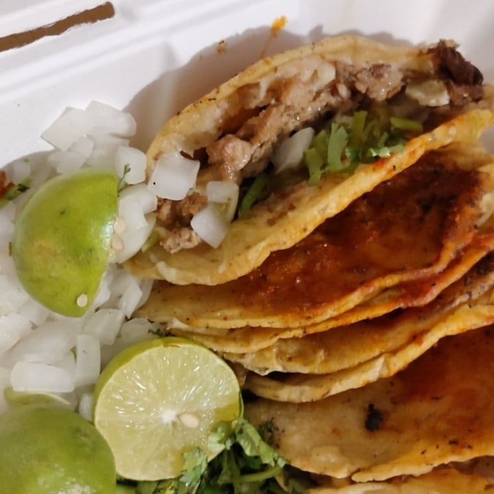 photo of Vida Atemporal Tacos Birria shared by @leveganito on  27 Nov 2022 - review