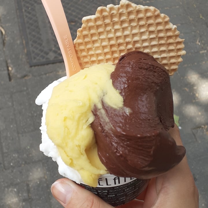 photo of Gelateria Sweet Ideas Collegno Gelato shared by @iosonoedgavd on  22 Jun 2022 - review