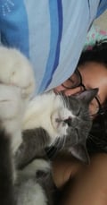 snookiepie @snookiepie profile image