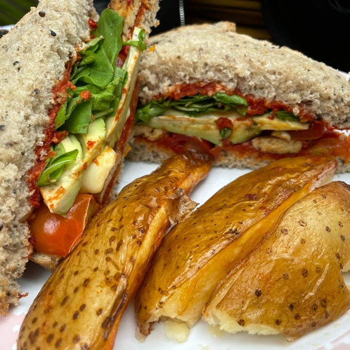photo of The Panera Rosa Sándwich Vegetariano shared by @lunatika on  21 Sep 2021 - review