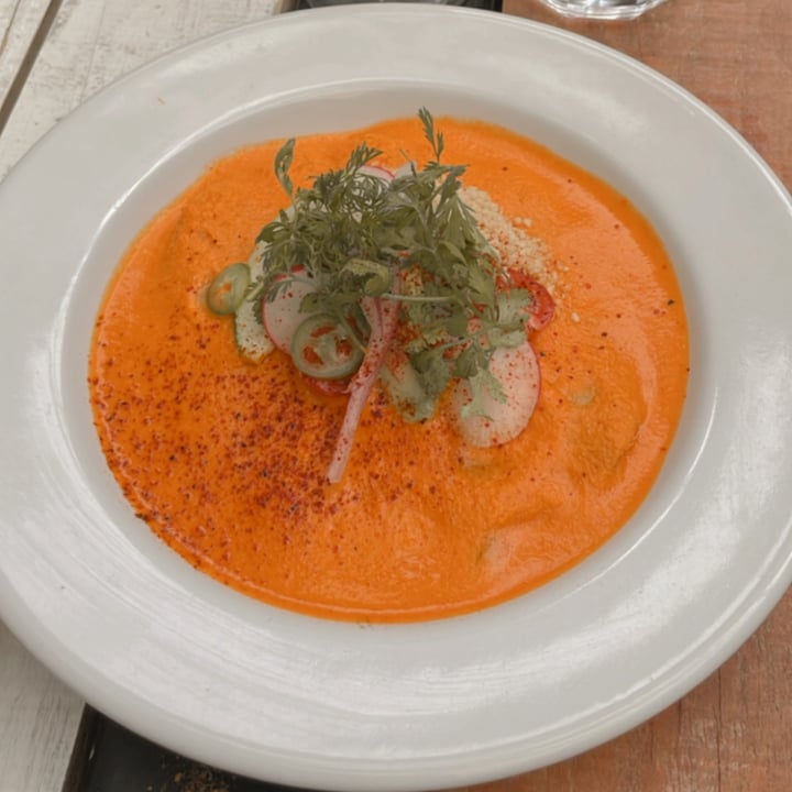 review photo of Café P'al Real Encacahuatadas Vegana shared by @andrea21 on 20 Feb 2022 - review