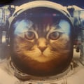 @catstronaut profile image