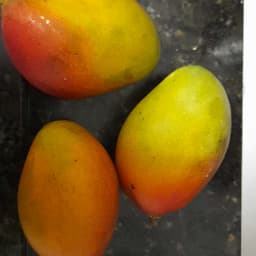 Feira do Jardim Brasil