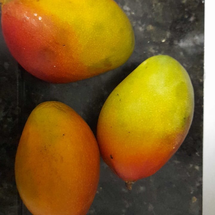 review photo of Feira do Jardim Brasil Manga shared by @crecencio on 09 May 2022 - review