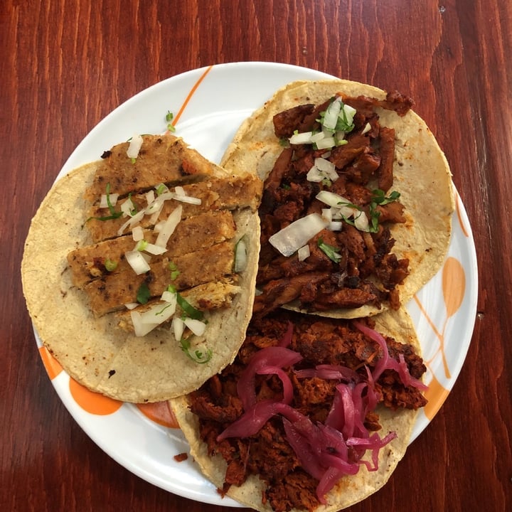 photo of GOLD TACO Tacos Milanes, Tacos Al Pastor, Cochinita Taco shared by @carloswalterjr on  05 Dec 2019 - review