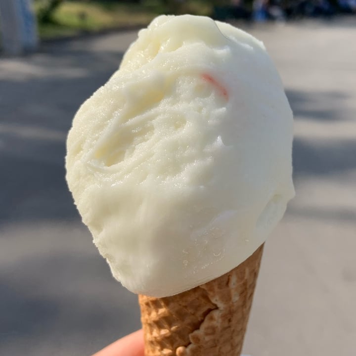 photo of Van Bol & Feste Gelato al limone shared by @gaiasct on  16 Apr 2022 - review