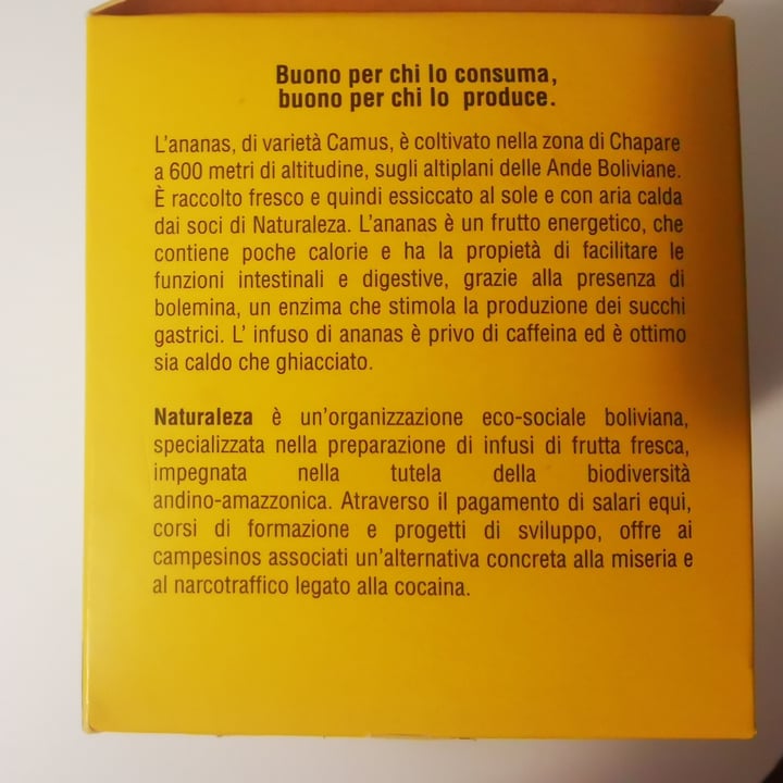 photo of Altro mercato Infusi Dal Mondo - Ananas shared by @elepi on  11 Dec 2022 - review