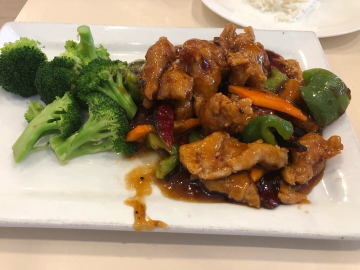 photo of VeGreen Vegetarian Fusion Restaurant General  Tso’s Chicken shared by @lilybug on  27 Jul 2019 - review