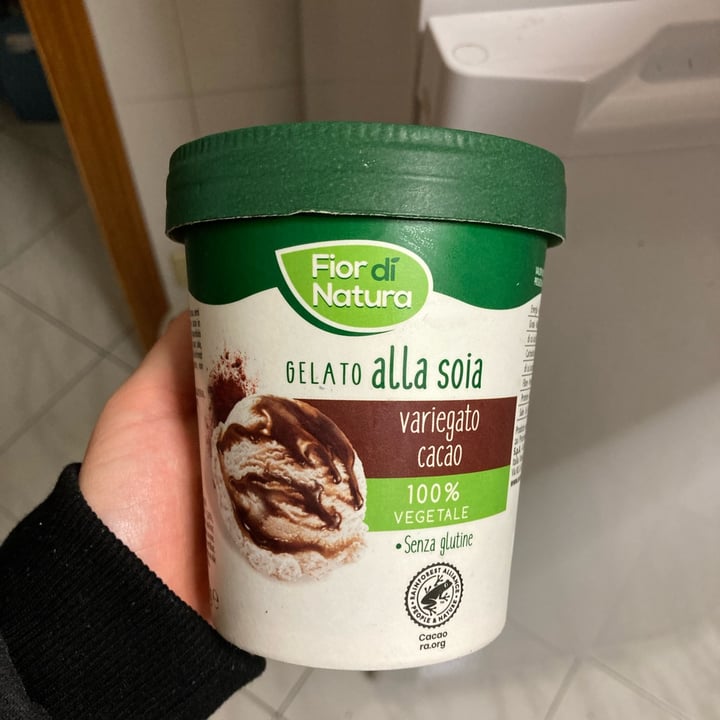 photo of Fior di Natura Gelato Alla Soia Variegato Cacao shared by @margh3r1ta on  27 Jan 2022 - review