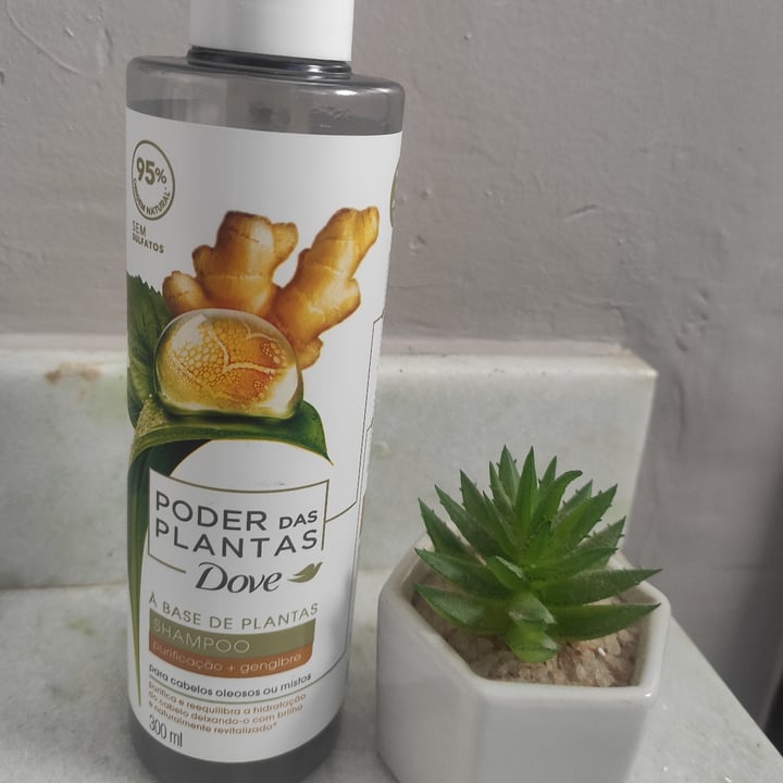 photo of Dove Shampoo Poder das Plantas - Gengibre shared by @micheletrevisan on  13 May 2022 - review