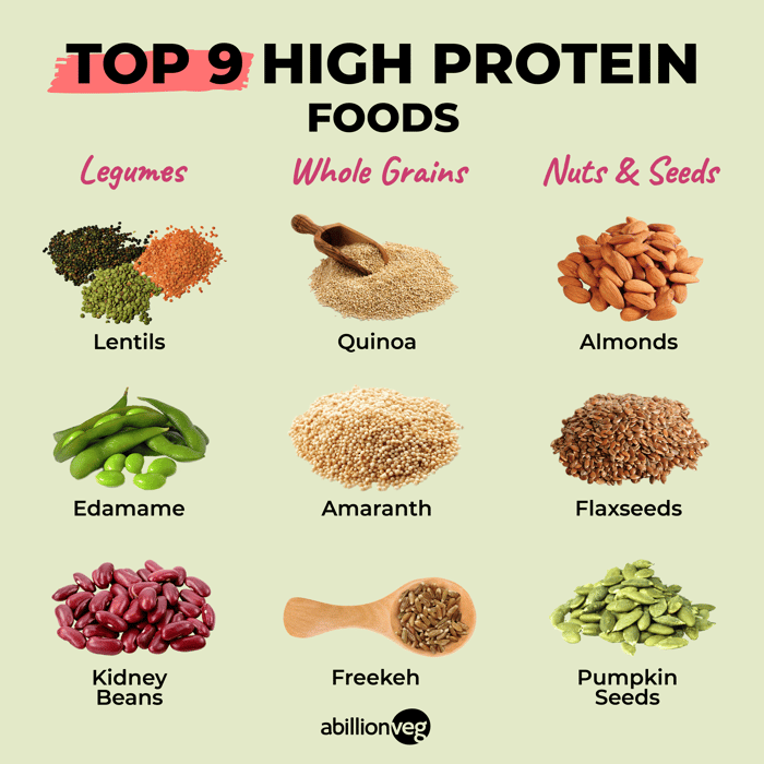 top 9 high protein food