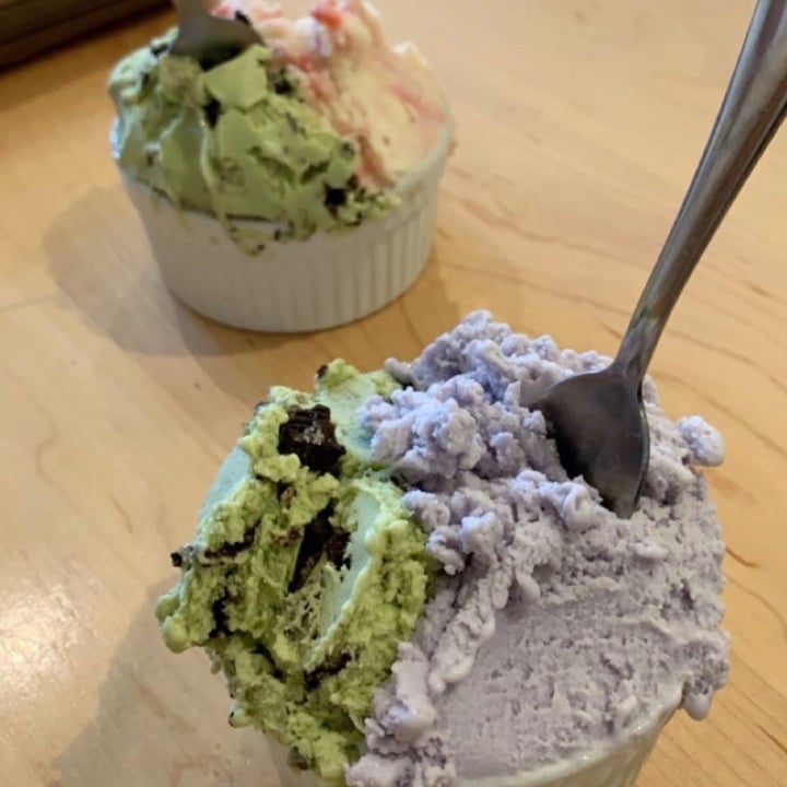 photo of Via Gelato Matcha Oreo Plant-Based Gelato shared by @taylorkkw on  25 Apr 2020 - review