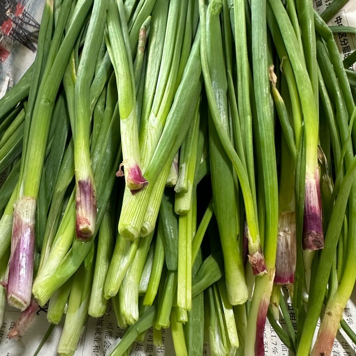 photo of Ground-Up Initiative Spring Onion shared by @piggy-egg on  24 Dec 2022 - review