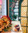 ÍAÇA Superfood Bar