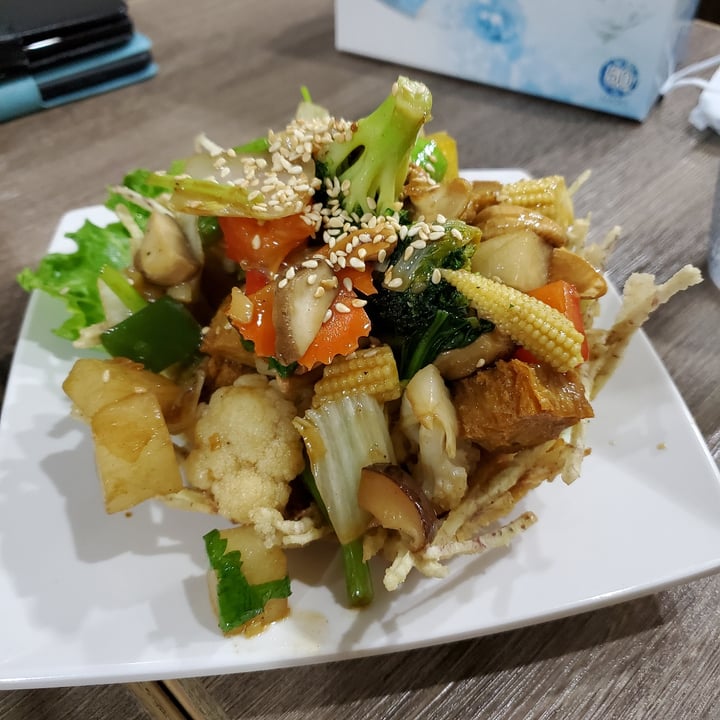 photo of Thai Vegetarian Food Fried Veggie Chicken Cashew Nuts shared by @moosewong on  01 Dec 2022 - review