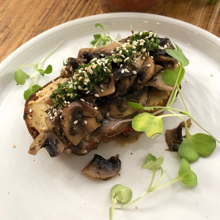 photo of Wildsprout Creamy Mushroom Toast shared by @southernveganupnorth on  09 Jan 2020 - review