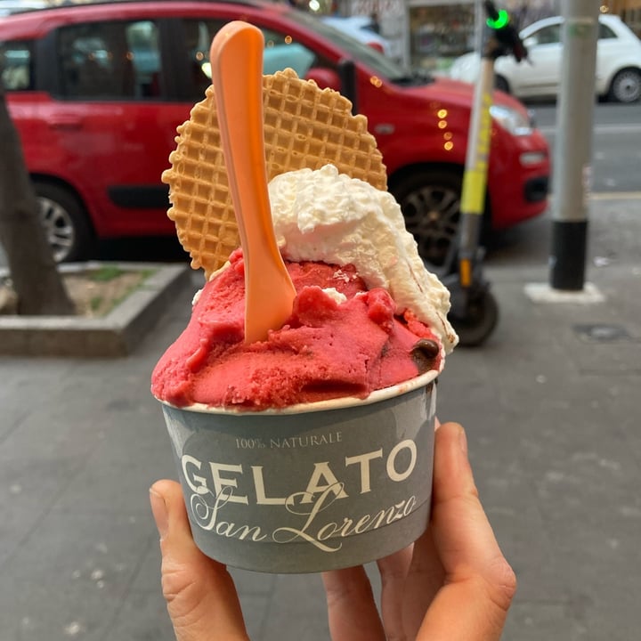 photo of Gelato San Lorenzo Gelato Vegano shared by @lisazanan on  18 Mar 2022 - review