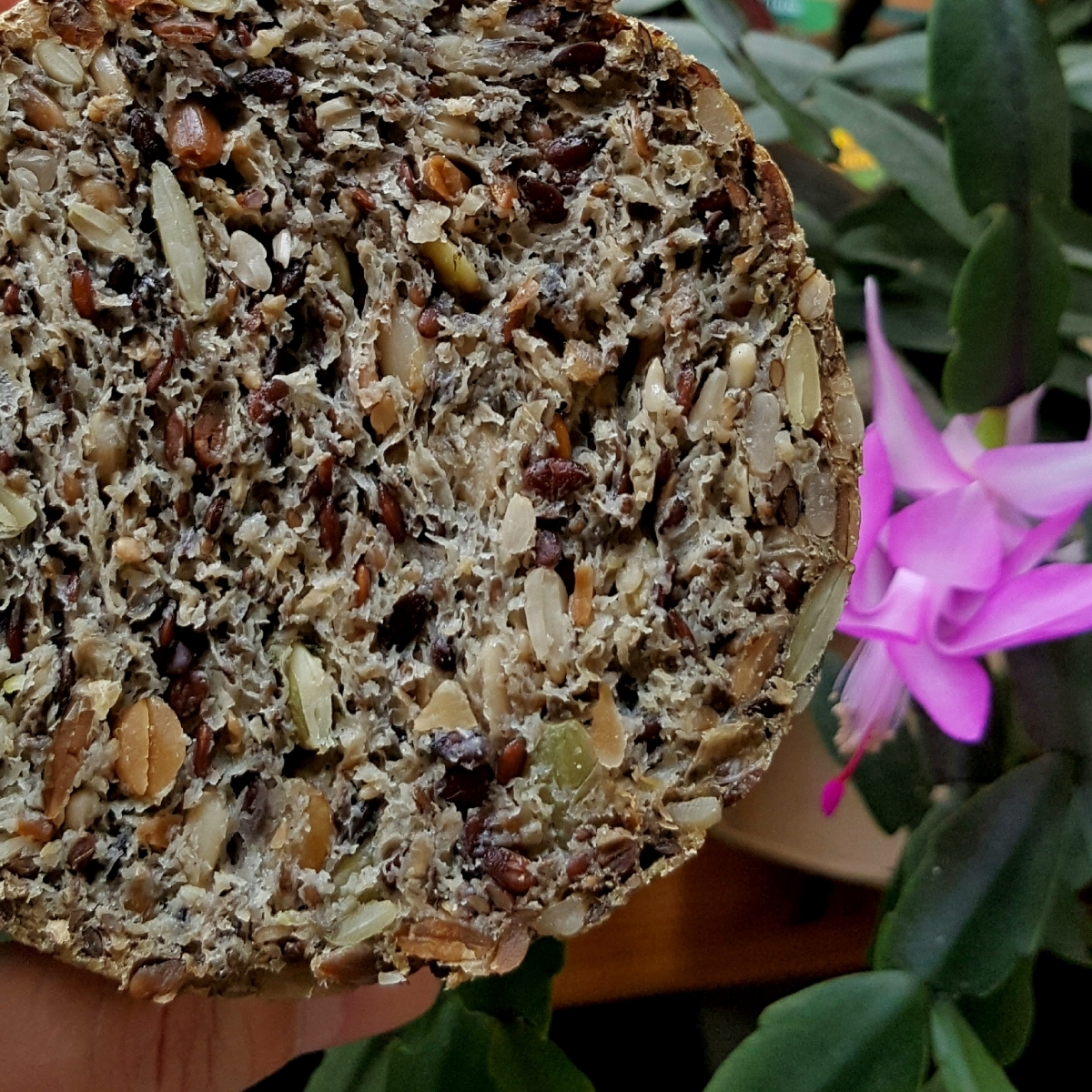 Bio Backstube Saatenbrot Reviews | abillion Bio Backstube Saatenbrot Reviews | abillion