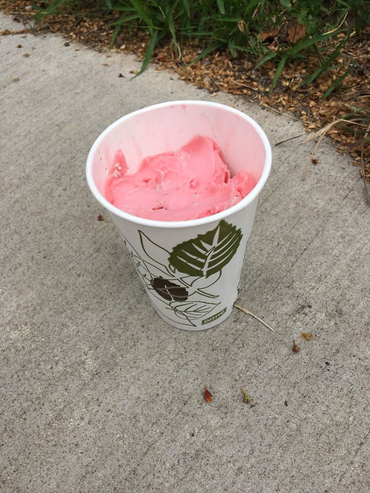 photo of Nelson's Ice Cream Raspberry Italian Ice shared by @jimo-tea on  04 Jul 2019 - review