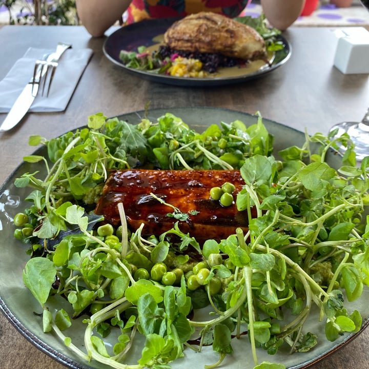 photo of Violeta Restaurant Tofu Arrayán shared by @mauricioserrano on  06 Dec 2020 - review