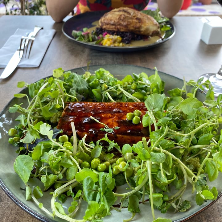 review photo of Violeta Restaurant Tofu Array谩n shared by @mauricioserrano on 06 Dec 2020 - review