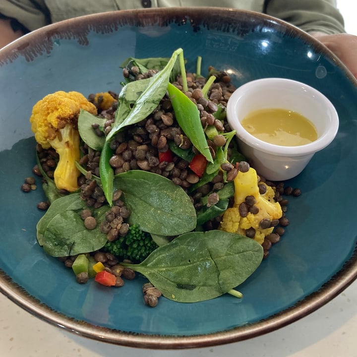 photo of Little Farms - Island-wide Delivery Lentil Salad With Roasted Cauliflower And Broccolini shared by @hollya113 on  13 Jan 2021 - review