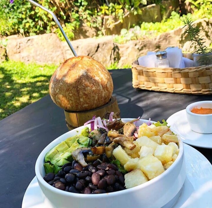 review photo of Soya Nutribar Guanaco Bowl shared by @veganasv on 25 Jul 2019 - review