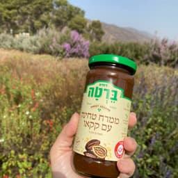 דודה ברטה