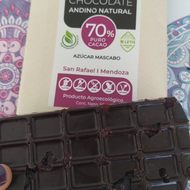 photo of Chocolate Andino Natural Chocolate 60% shared by @camilaschelotto on  04 Sep 2022 - review