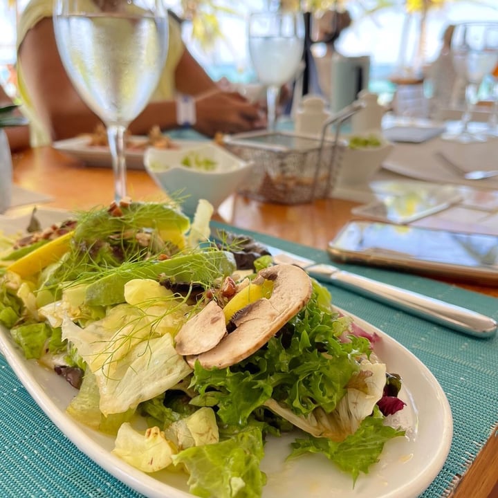 photo of Bloved Lounge & Restaurant Vegan Salad shared by @vegkiki on  19 Sep 2021 - review