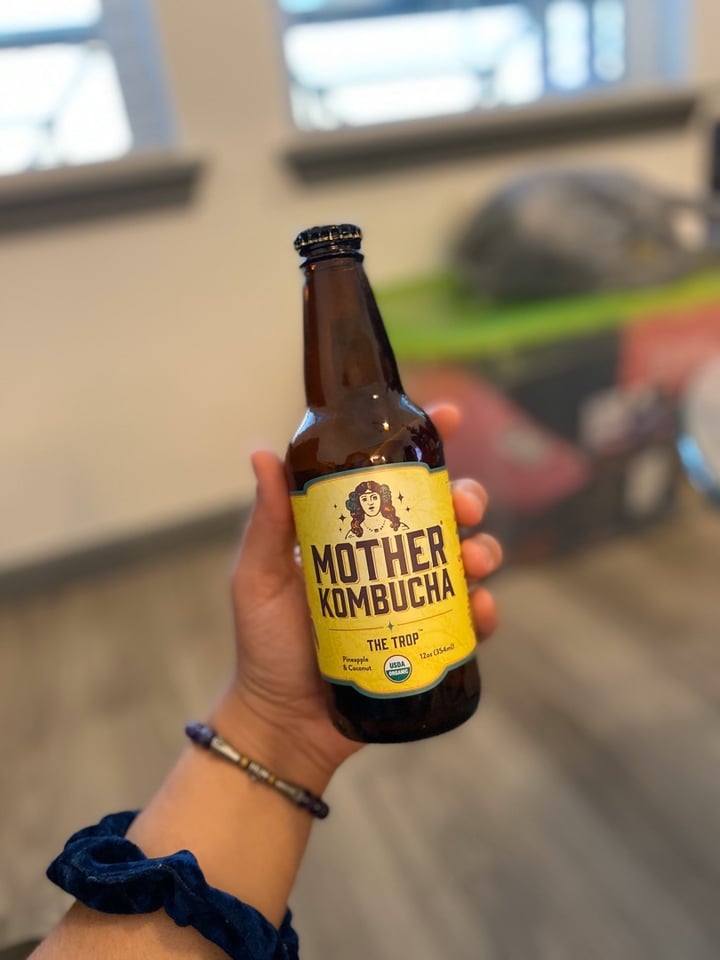 photo of Mother Kombucha Mother Kombucha shared by @tiedyesky1 on  04 Dec 2019 - review