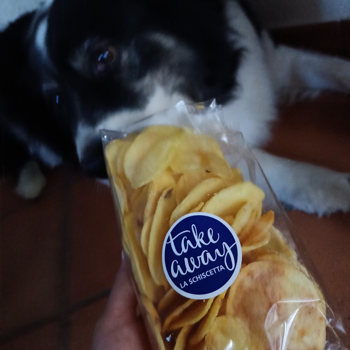 Il Gigante Maxi chips Reviews | abillion