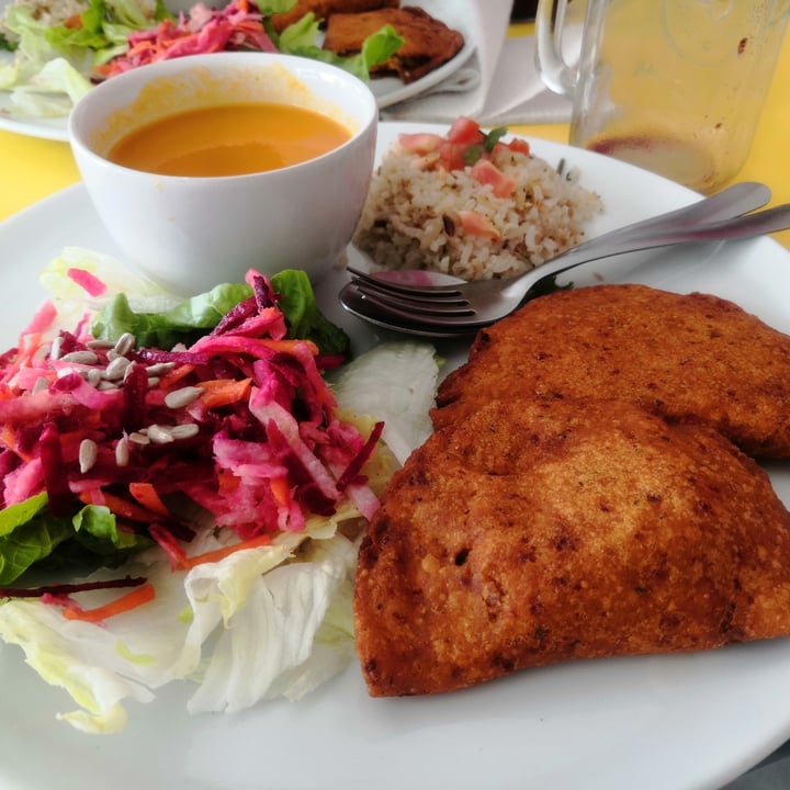 review photo of Nutri Sol Empanadas de tofu shared by @melayala1 on 15 Jul 2020 - review