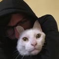 javinrxvegan @javinrxvegan profile image