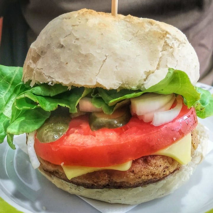 photo of Puzzle Hamburguesa de soja shared by @lauratorrico on  12 Aug 2021 - review