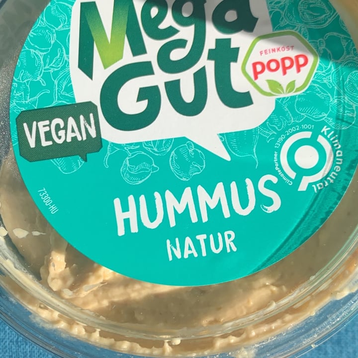 photo of Mega gut Hummus natur shared by @ellen7m on  26 Mar 2022 - review