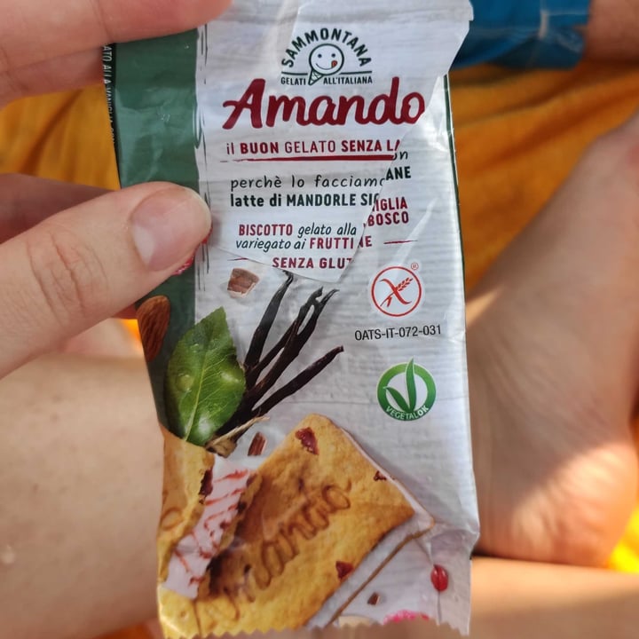 photo of Sammontana Biscotto gelato Amando frutti rossi shared by @coretta on  23 Jul 2022 - review