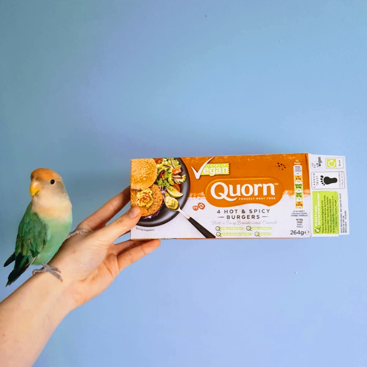 Vegan Hot & Spicy Burgers from Quorn - Vegan Product Reviews & Ratings ...