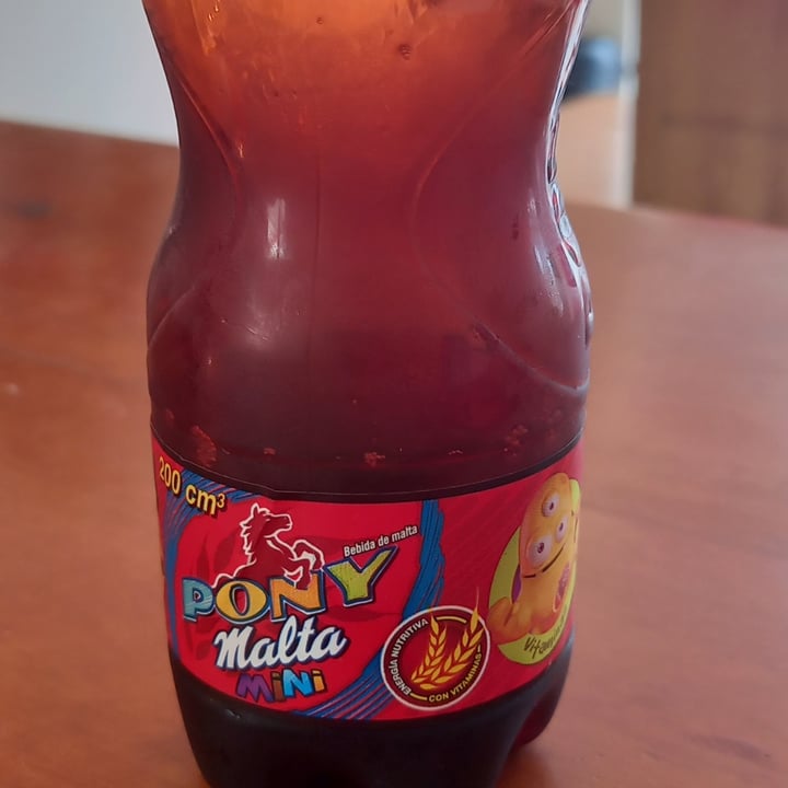 photo of Pony Malta Pony malta tradicional shared by @loco13 on  16 Jun 2022 - review